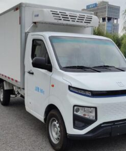 F1E 3T 2.98-meter single-row pure electric refrigerated truck