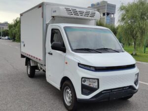 F1e 3T 2.98-Meter Single-Row Pure Electricated Truck