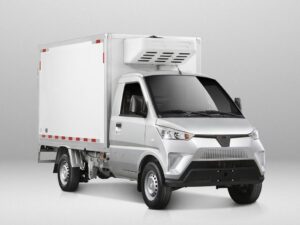 Wuling 3-մետրանոց մաքուր էլեկտրական սառնարանային բեռնատար