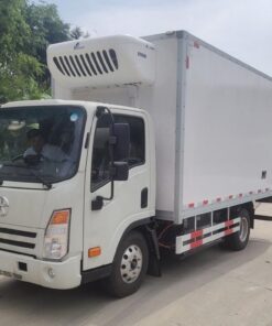 Dayun 3.1 Ton Electric Refrigerated Truck