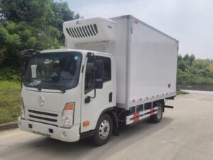 Dayun 3.1 Ton Electric Refrigerated Truck