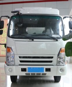 Dayun E3 4.5Ton 3.57Meter Single Row Pure Electric Van Light Truck