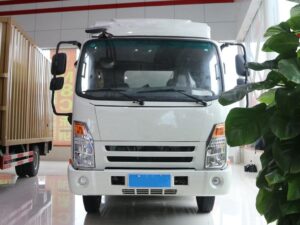 Dayun E3 4.5Ton 3.57Meter Single Row Pure Electric Van Light Truck