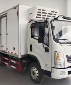 Dongfeng 4.5 Ton Electric Refrigerated Truck