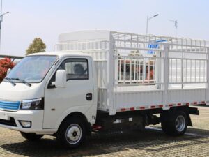 Dongfeng Huashen M3 3.5Ton 3.85Meter Single Row Pure Electric Cage Type Micro Truck