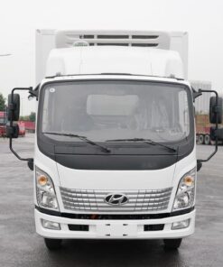 Hyundai 4.5 Ton Electric Refrigerated Truck