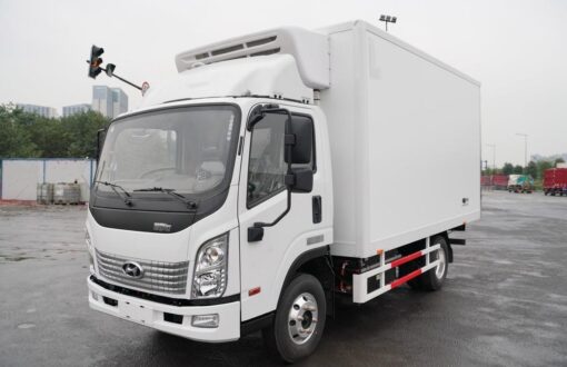 Hyundai 4.5 Ton Electric Refrigerated Truck