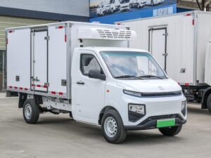 Remote 3 Ton Electric Refrigerated Truck