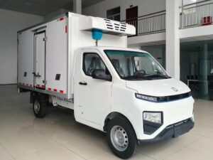 Remote 3 Ton Electric Refrigerated Truck