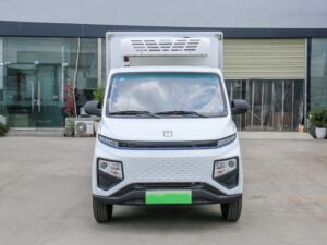 Remote 3 Ton Electric Refrigerated Truck