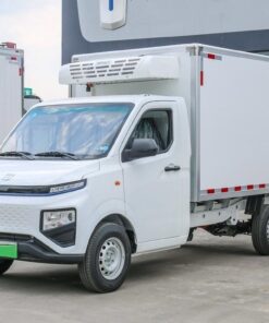 Remote 3 Ton Electric Refrigerated Truck