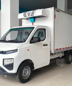 Remote 3 Ton Electric Refrigerated Truck