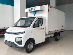 Remote 3 Ton Electric Refrigerated Truck