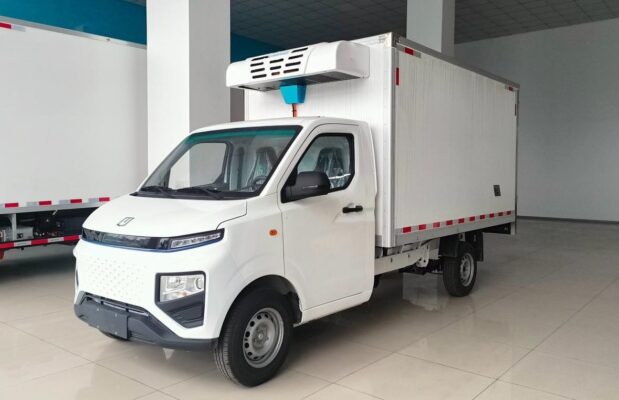 Remote 3 Ton Electric Refrigerated Truck