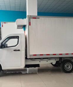 Remote 3 Ton Electric Refrigerated Truck