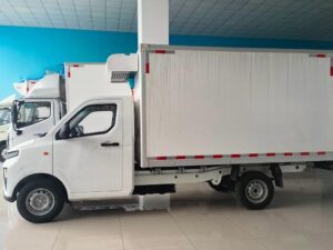 Remote 3 Ton Electric Refrigerated Truck