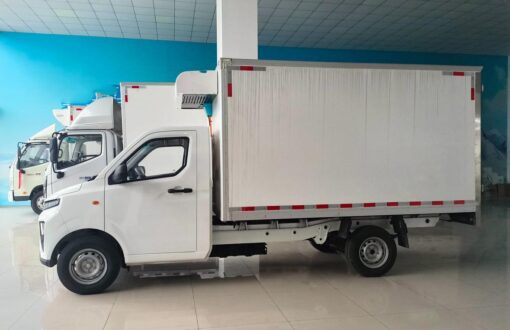 Remote 3 Ton Electric Refrigerated Truck