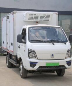 Remote 4.3 Ton Electric Refrigerated Truck