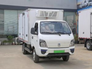 Remote 4.3 Ton Electric Refrigerated Truck