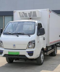 Remote 4.3 Ton Electric Refrigerated Truck