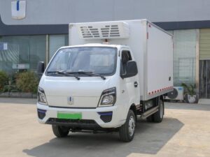 Remote 4.3 Ton Electric Refrigerated Truck