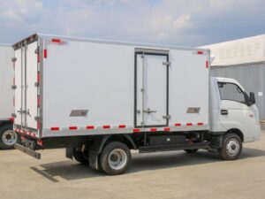 Remote 4.3 Ton Electric Refrigerated Truck