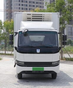 Remote 4.5Ton Electric Refrigerated Truck