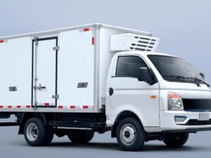 Remote E200S 4.2Ton 3.5Meter Single Row Pure Electric Van Light Truck