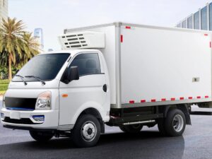 Remote E200S 4.2Ton 3.5Meter Single Row Pure Electric Van Light Truck