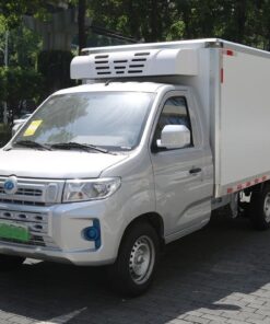 Rich 3.3 Ton Electric Refrigerated Truck