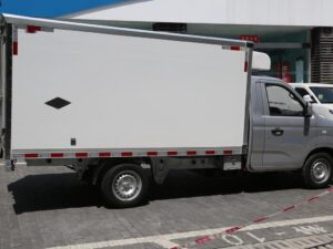 Rich 3.3 Ton Electric Refrigerated Truck