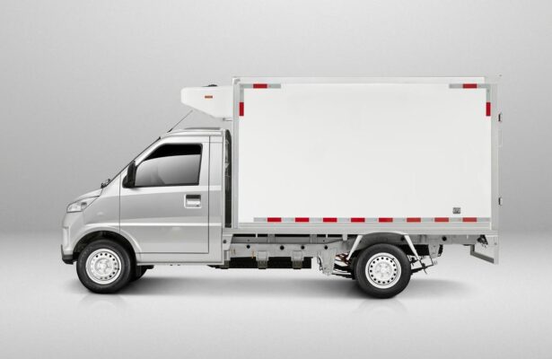 Wuling 2.7 Ton Electric Refrigerated Truck