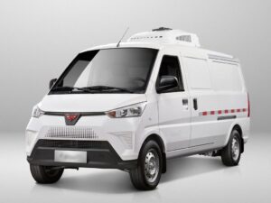 Wuling 2.9 Ton Electric Refrigerated Truck