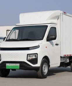 Xingxiang F1E 3Ton 3Meter Single-Row Pure-Electric Van-Type Mini-Truck