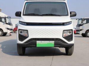 Xingxiang F1E 3Ton 3Meter Single-Row Pure-Electric Van-Type Mini-Truck