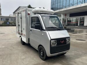 Wuling 0.8 Tons Eletric Refrigerated Truck