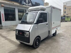 Wuling 0.8 Tons Eletric Refrigerated Truck