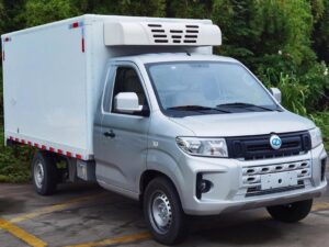 Ruichi 3.3 Ton Eletric Refrigerated Truck