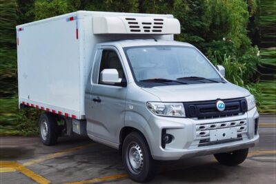 Ruichi 3.3 Ton Eletric Refrigerated Truck