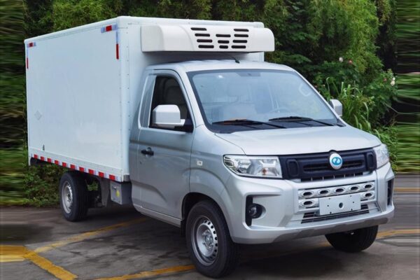 Ruichi 3.3 Ton Eletric Refrigerated Truck